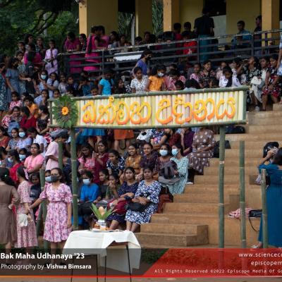 විදු සූර්ය මංගල්‍ය'24